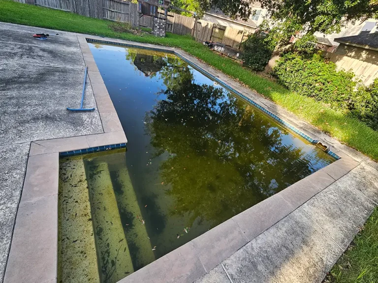 Pool Maintenance